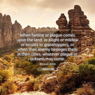 Picture 05 - 1 Kings 8:37 BSB - When famine or plague comes upon the land, or - Bible Verse Picture