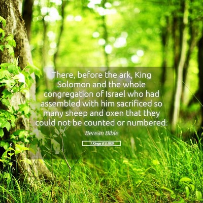 Picture 05 - 1 Kings 8:5 BSB - There, before the ark, King Solomon and the whole - Bible Verse Picture