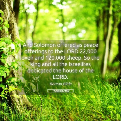Picture 05 - 1 Kings 8:63 BSB - And Solomon offered as peace offerings to the - Bible Verse Picture