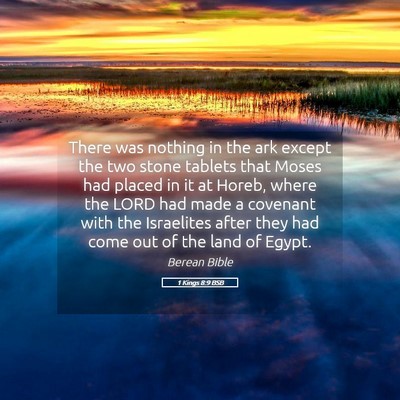 Picture 05 - 1 Kings 8:9 BSB - There was nothing in the ark except the two stone - Bible Verse Picture