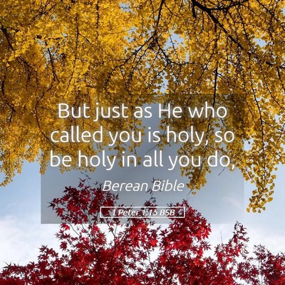Picture 05 - 1 Peter 1:15 BSB - But just as He who called you is holy, so be holy - Bible Verse Picture