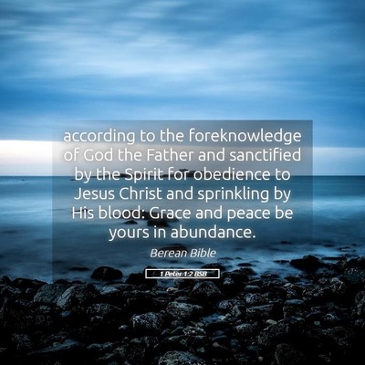 Picture 05 - 1 Peter 1:2 BSB - according to the foreknowledge of God the Father - Bible Verse Picture