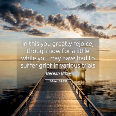 Picture 05 - 1 Peter 1:6 BSB - In this you greatly rejoice, though now for a - Bible Verse Picture