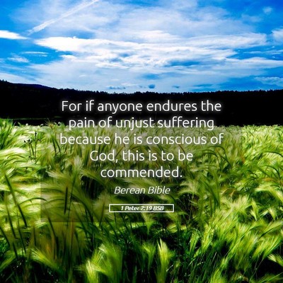 Picture 05 - 1 Peter 2:19 BSB - For if anyone endures the pain of unjust - Bible Verse Picture