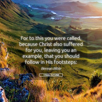 Picture 05 - 1 Peter 2:21 BSB - For to this you were called, because Christ also - Bible Verse Picture