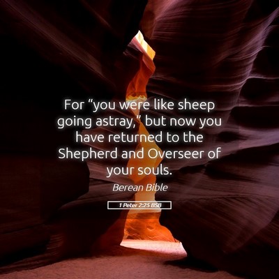 Picture 05 - 1 Peter 2:25 BSB - For “you were like sheep going astray,” but - Bible Verse Picture