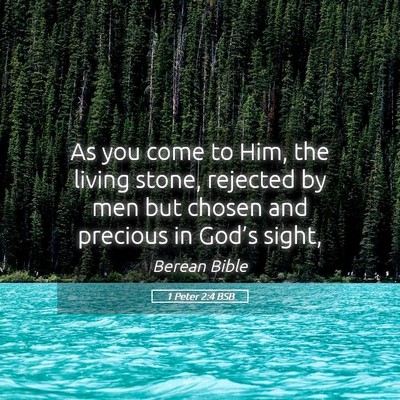 Picture 05 - 1 Peter 2:4 BSB - As you come to Him, the living stone, rejected by - Bible Verse Picture