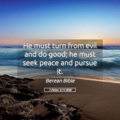Picture 05 - 1 Peter 3:11 BSB - He must turn from evil and do good; he must seek - Bible Verse Picture