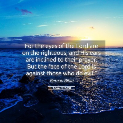 Picture 05 - 1 Peter 3:12 BSB - For the eyes of the Lord are on the righteous, - Bible Verse Picture