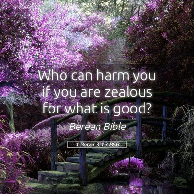 Picture 05 - 1 Peter 3:13 BSB - Who can harm you if you are zealous for what is - Bible Verse Picture