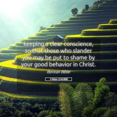 Picture 05 - 1 Peter 3:16 BSB - keeping a clear conscience, so that those who - Bible Verse Picture
