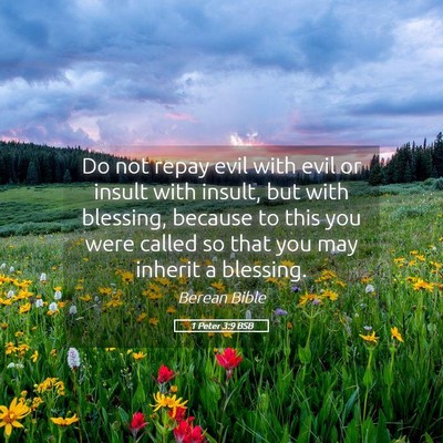 Picture 05 - 1 Peter 3:9 BSB - Do not repay evil with evil or insult with - Bible Verse Picture