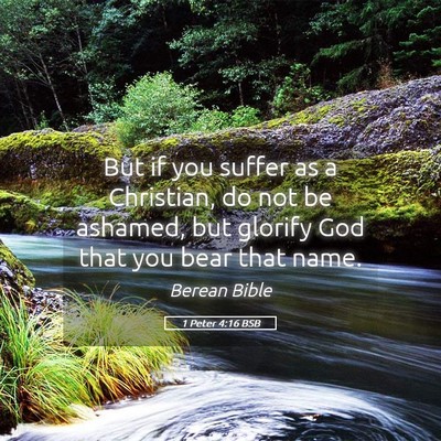 Picture 05 - 1 Peter 4:16 BSB - But if you suffer as a Christian, do not be - Bible Verse Picture