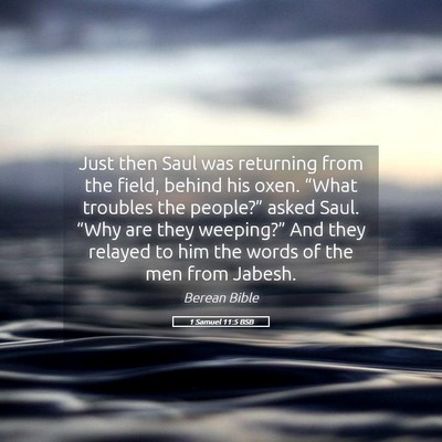Picture 05 - 1 Samuel 11:5 BSB - Just then Saul was returning from the field, - Bible Verse Picture