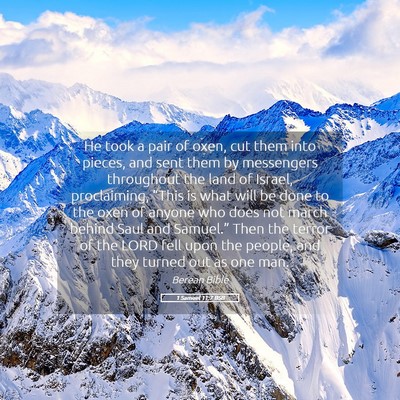 Picture 05 - 1 Samuel 11:7 BSB - He took a pair of oxen, cut them into pieces, and - Bible Verse Picture