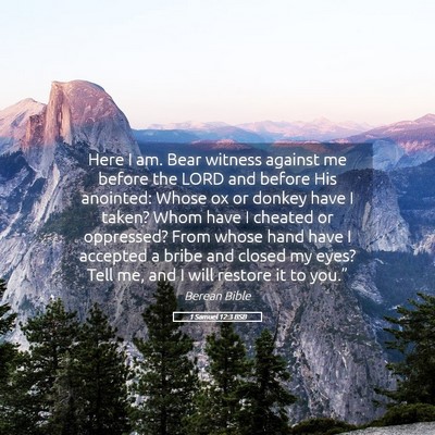Picture 05 - 1 Samuel 12:3 BSB - Here I am. Bear witness against me before the - Bible Verse Picture