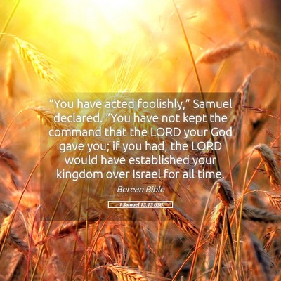 Picture 05 - 1 Samuel 13:13 BSB - “You have acted foolishly,” Samuel declared. - Bible Verse Picture