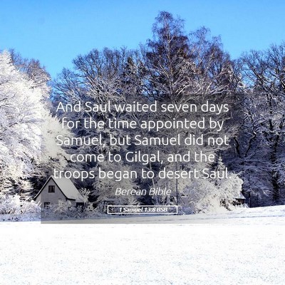 Picture 05 - 1 Samuel 13:8 BSB - And Saul waited seven days for the time appointed - Bible Verse Picture