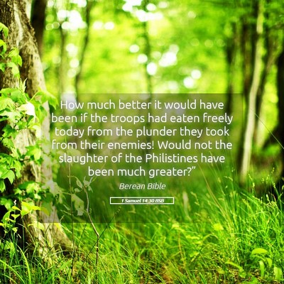 Picture 05 - 1 Samuel 14:30 BSB - How much better it would have been if the troops - Bible Verse Picture
