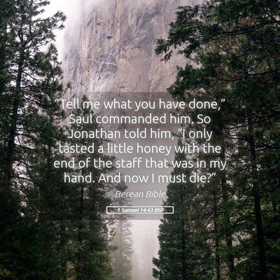 Picture 05 - 1 Samuel 14:43 BSB - “Tell me what you have done,” Saul commanded - Bible Verse Picture