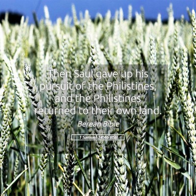 Picture 05 - 1 Samuel 14:46 BSB - Then Saul gave up his pursuit of the Philistines, - Bible Verse Picture