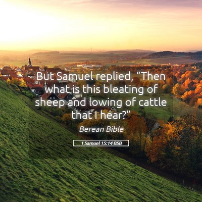 Picture 05 - 1 Samuel 15:14 BSB - But Samuel replied, “Then what is this bleating - Bible Verse Picture