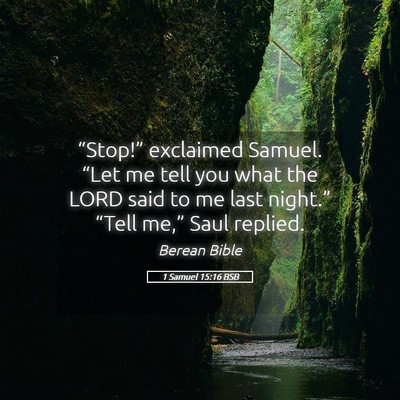 Picture 05 - 1 Samuel 15:16 BSB - “Stop!” exclaimed Samuel. “Let me tell you - Bible Verse Picture