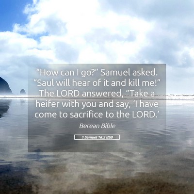 Picture 05 - 1 Samuel 16:2 BSB - “How can I go?” Samuel asked. “Saul will - Bible Verse Picture