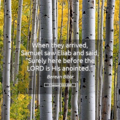 Picture 05 - 1 Samuel 16:6 BSB - When they arrived, Samuel saw Eliab and said, - Bible Verse Picture