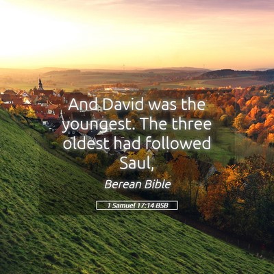 Picture 05 - 1 Samuel 17:14 BSB - And David was the youngest. The three oldest had - Bible Verse Picture