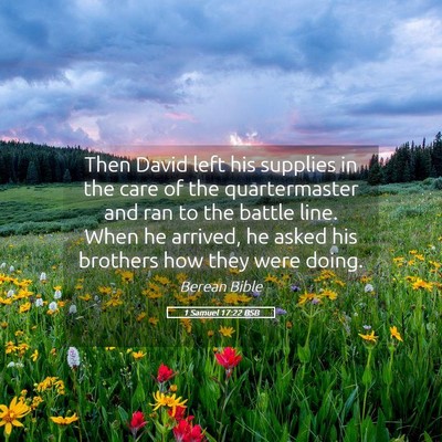 Picture 05 - 1 Samuel 17:22 BSB - Then David left his supplies in the care of the - Bible Verse Picture