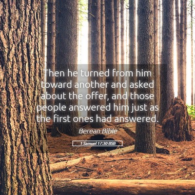 Picture 05 - 1 Samuel 17:30 BSB - Then he turned from him toward another and asked - Bible Verse Picture