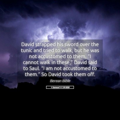 Picture 05 - 1 Samuel 17:39 BSB - David strapped his sword over the tunic and tried - Bible Verse Picture