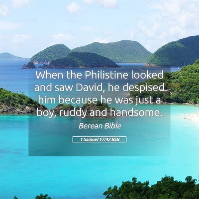 Picture 05 - 1 Samuel 17:42 BSB - When the Philistine looked and saw David, he - Bible Verse Picture
