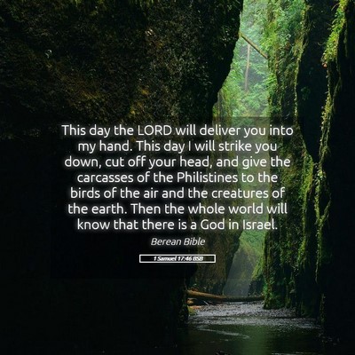 Picture 05 - 1 Samuel 17:46 BSB - This day the LORD will deliver you into my hand. - Bible Verse Picture