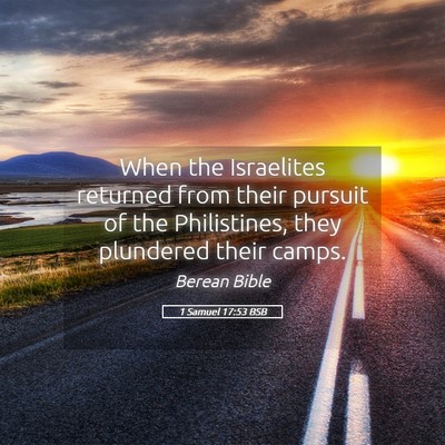 Picture 05 - 1 Samuel 17:53 BSB - When the Israelites returned from their pursuit - Bible Verse Picture