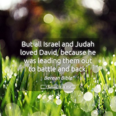 Picture 05 - 1 Samuel 18:16 BSB - But all Israel and Judah loved David, because he - Bible Verse Picture