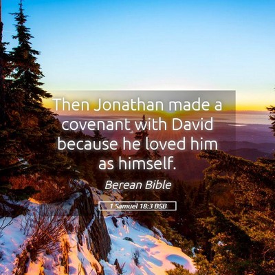 Picture 05 - 1 Samuel 18:3 BSB - Then Jonathan made a covenant with David because - Bible Verse Picture