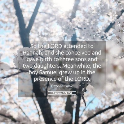 Picture 05 - 1 Samuel 2:21 BSB - So the LORD attended to Hannah, and she conceived - Bible Verse Picture