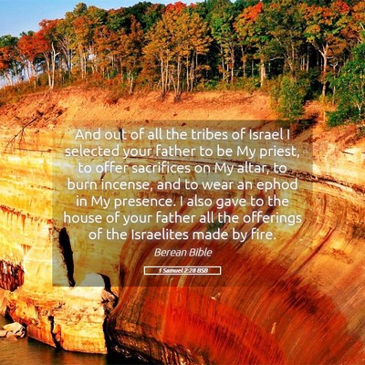 Picture 05 - 1 Samuel 2:28 BSB - And out of all the tribes of Israel I selected - Bible Verse Picture