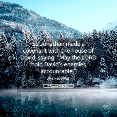 Picture 05 - 1 Samuel 20:16 BSB - So Jonathan made a covenant with the house of - Bible Verse Picture