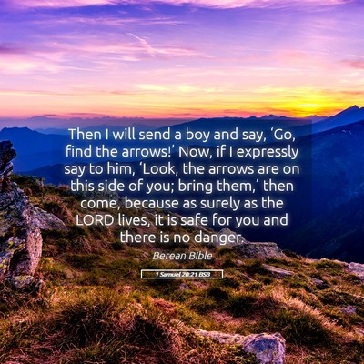 Picture 05 - 1 Samuel 20:21 BSB - Then I will send a boy and say, ‘Go, find the - Bible Verse Picture