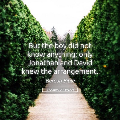 Picture 05 - 1 Samuel 20:39 BSB - But the boy did not know anything; only Jonathan - Bible Verse Picture