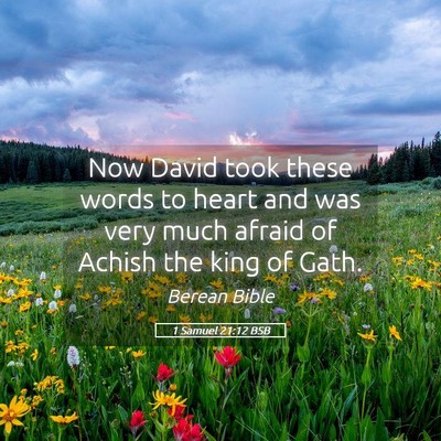Picture 05 - 1 Samuel 21:12 BSB - Now David took these words to heart and was very - Bible Verse Picture