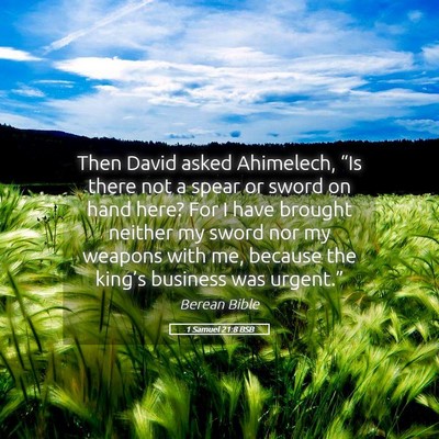 Picture 05 - 1 Samuel 21:8 BSB - Then David asked Ahimelech, “Is there not a - Bible Verse Picture