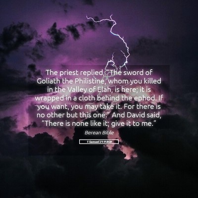 Picture 05 - 1 Samuel 21:9 BSB - The priest replied, “The sword of Goliath the - Bible Verse Picture