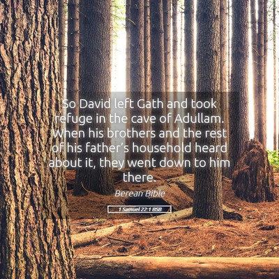 Picture 05 - 1 Samuel 22:1 BSB - So David left Gath and took refuge in the cave of - Bible Verse Picture