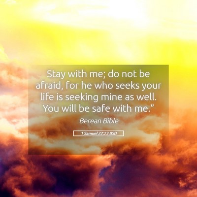 Picture 05 - 1 Samuel 22:23 BSB - Stay with me; do not be afraid, for he who seeks - Bible Verse Picture