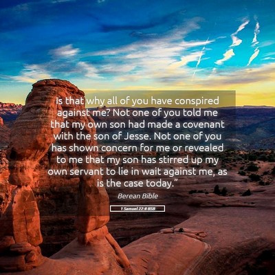 Picture 05 - 1 Samuel 22:8 BSB - Is that why all of you have conspired against me? - Bible Verse Picture