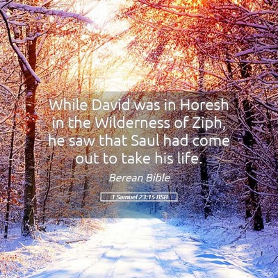Picture 05 - 1 Samuel 23:15 BSB - While David was in Horesh in the Wilderness of - Bible Verse Picture